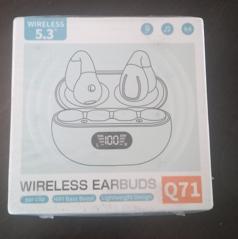 Q71 Wireless Earbuds with Charging Case